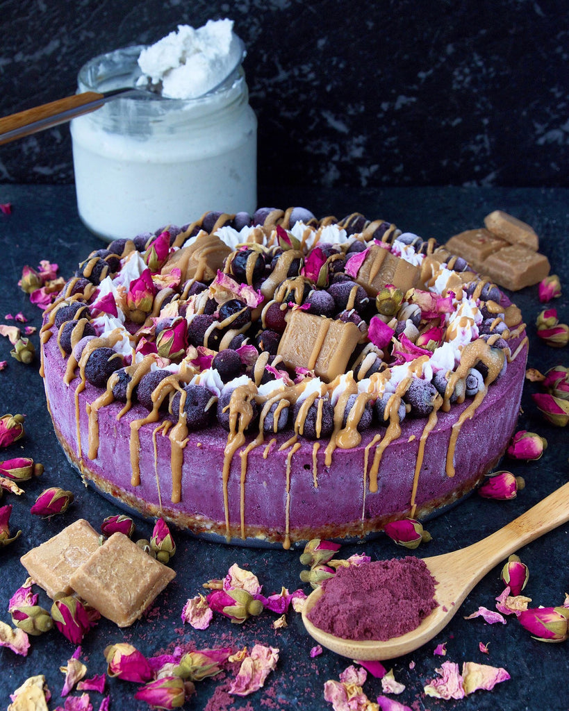 BLUEBERRY ACAI CHEESECAKE
  
  
  
    | Tropeaka.com.au