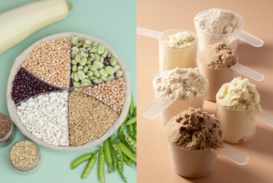 protein sources
