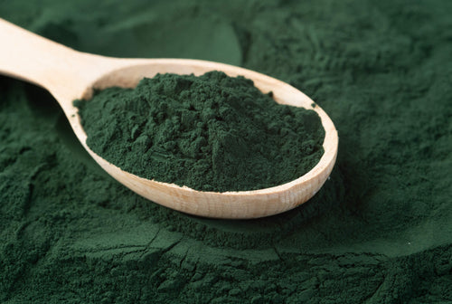 spirulina powder