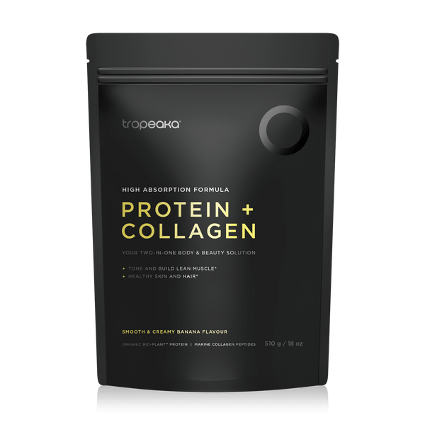 PROTEIN + COLLAGEN